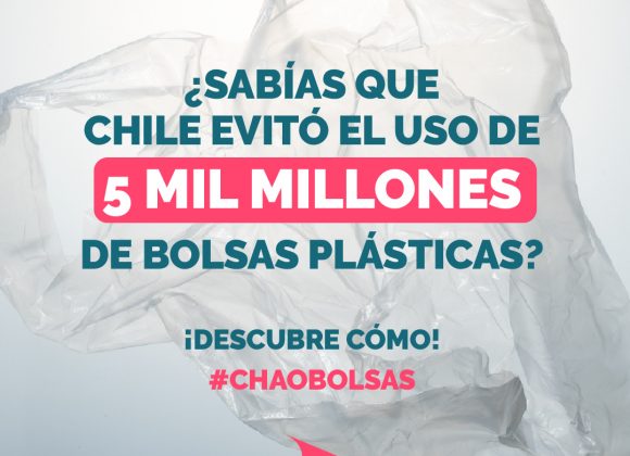 ¿Sabías que Chile evitó el uso de 5 mil millones de bolsas plásticas? ¡Descubre cómo!